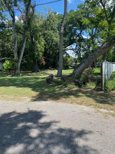 A large tree leans over a grassy lot next to a white chain-link fence — 3100 EUNICE AVENUE, ORLANDO, FL