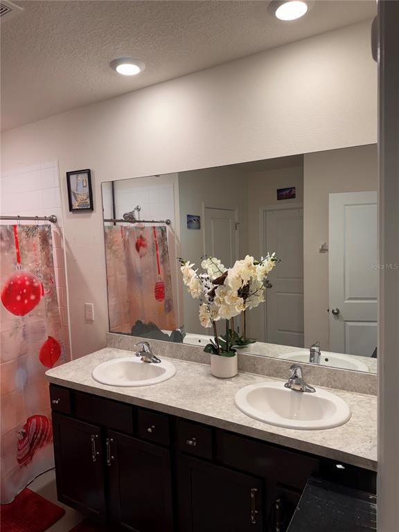 A bathroom features a double-sink vanity with dark cabinets, a large mirror, and a shower curtain — 3783 SE 97TH LANE, BELLEVIEW, FL
