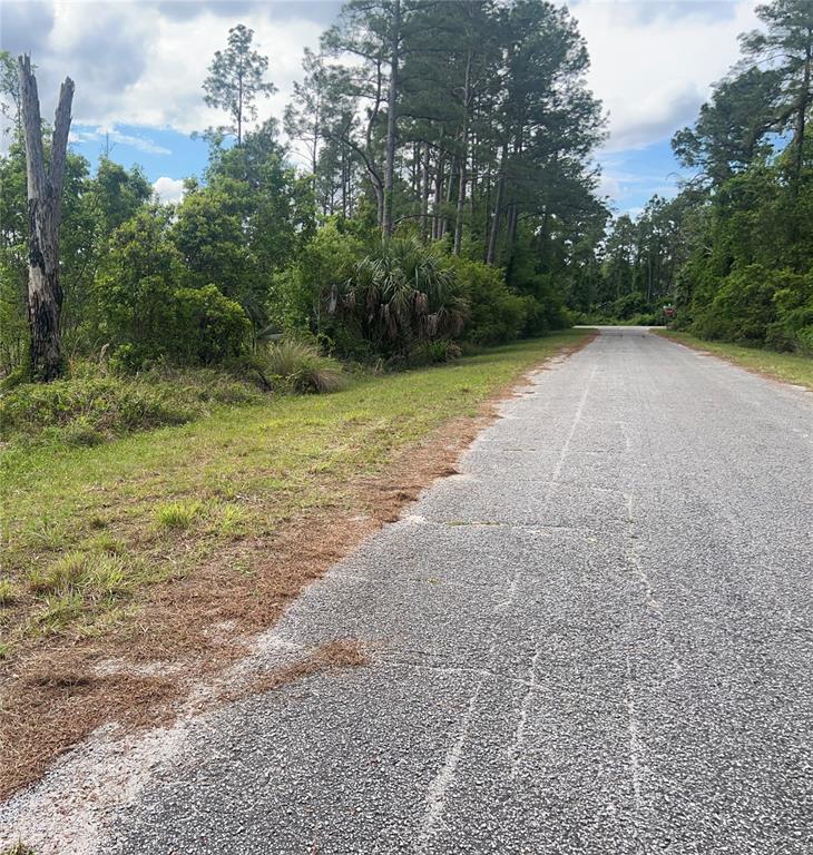 A paved road runs alongside a wooded lot with tall pine trees and dense vegetation — BANYAN STREET Unit No. 1, EUSTIS, FL