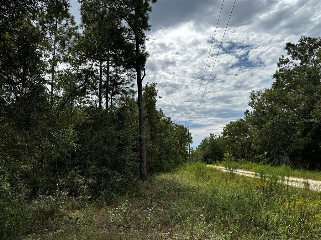 0000 NE 155TH COURT, WILLISTON, FL — photo 4 of 14