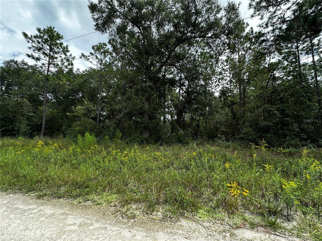 0000 NE 155TH COURT, WILLISTON, FL — photo 5 of 14