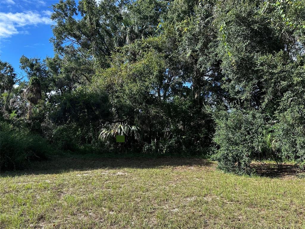 A grassy, sunlit lot is bordered by a dense thicket of mature trees and foliage — 722 HIGHWAY 40 W, INGLIS, FL