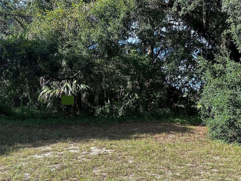 A grassy clearing sits in front of a dense line of trees and foliage — 722 HIGHWAY 40 W, INGLIS, FL