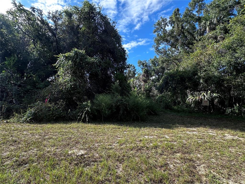 A grassy, partially cleared lot is bordered by dense trees and vegetation under a blue sky — 722 HIGHWAY 40 W, INGLIS, FL