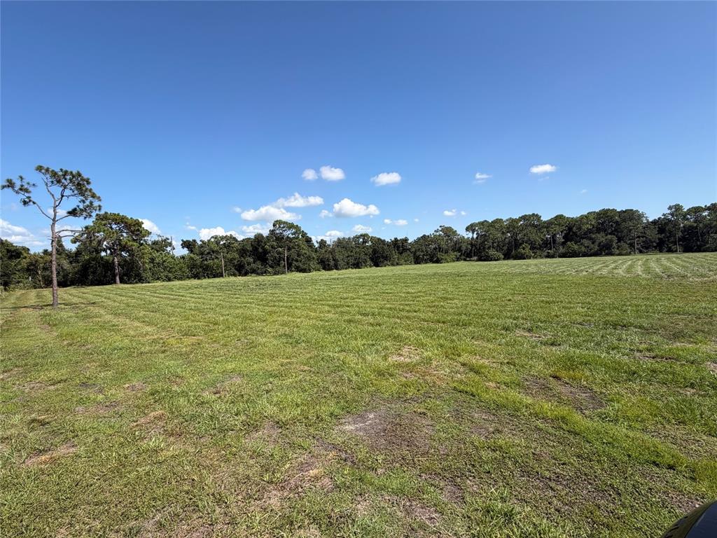 A large, mowed grassy field is bordered by a line of trees under a blue sky — 24TH AVENUE SE, RUSKIN, FL