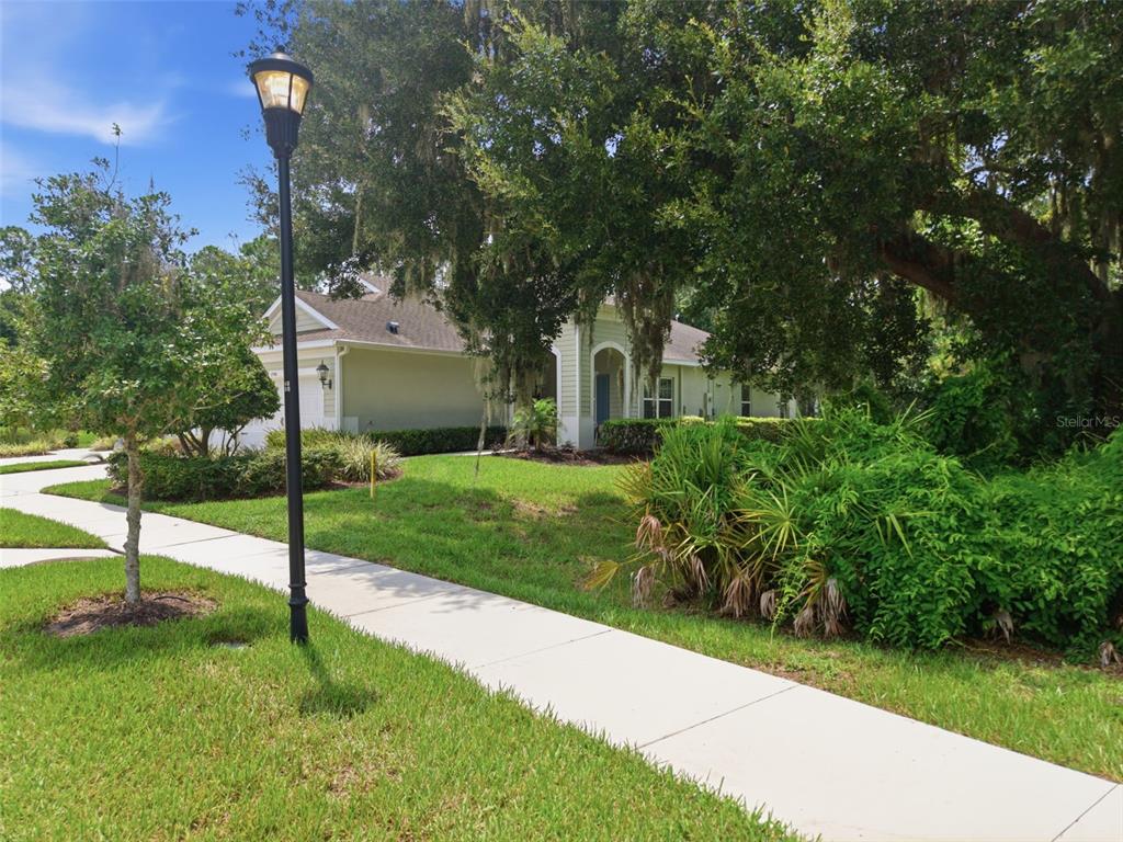 A sidewalk leads past a lamp post toward a light-colored house shaded by large trees — 13584 CIRCA CROSSING DRIVE, LITHIA, FL