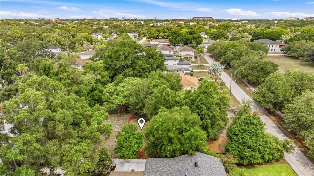 A large, mature oak tree stands in a grassy park area behind a row of posts — 1006 W ADALEE STREET, TAMPA, FL