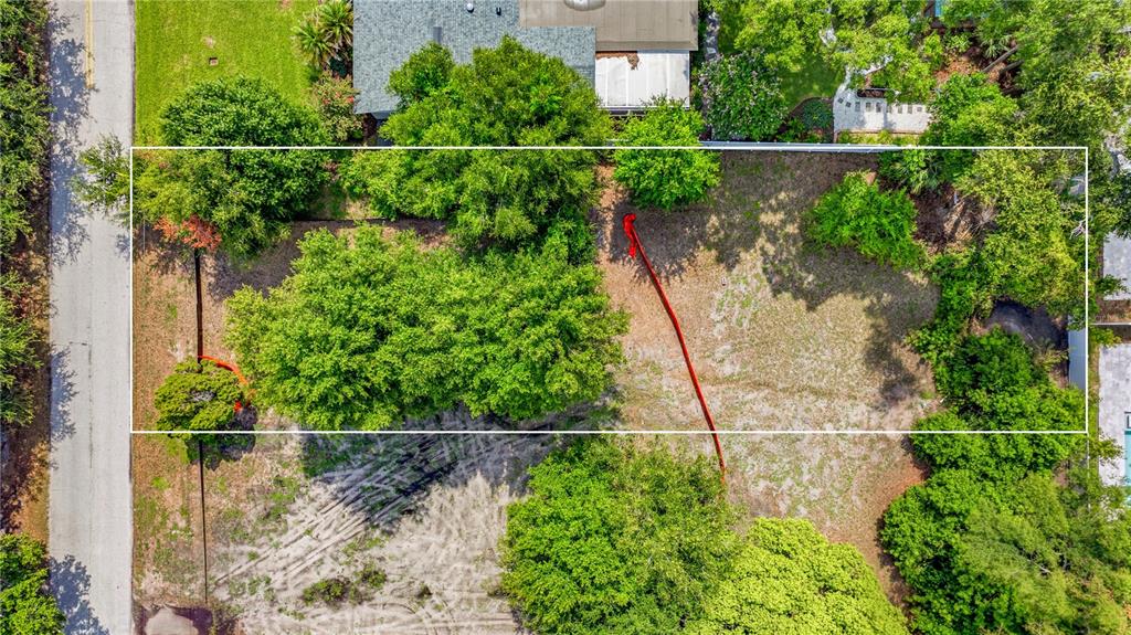 An aerial view shows a vacant, tree-filled residential lot next to a paved street — 1006 W ADALEE STREET, TAMPA, FL