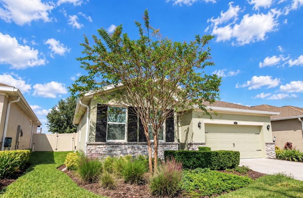 1143 PIPESTONE PLACE, WESLEY CHAPEL, FL — photo 3 of 30