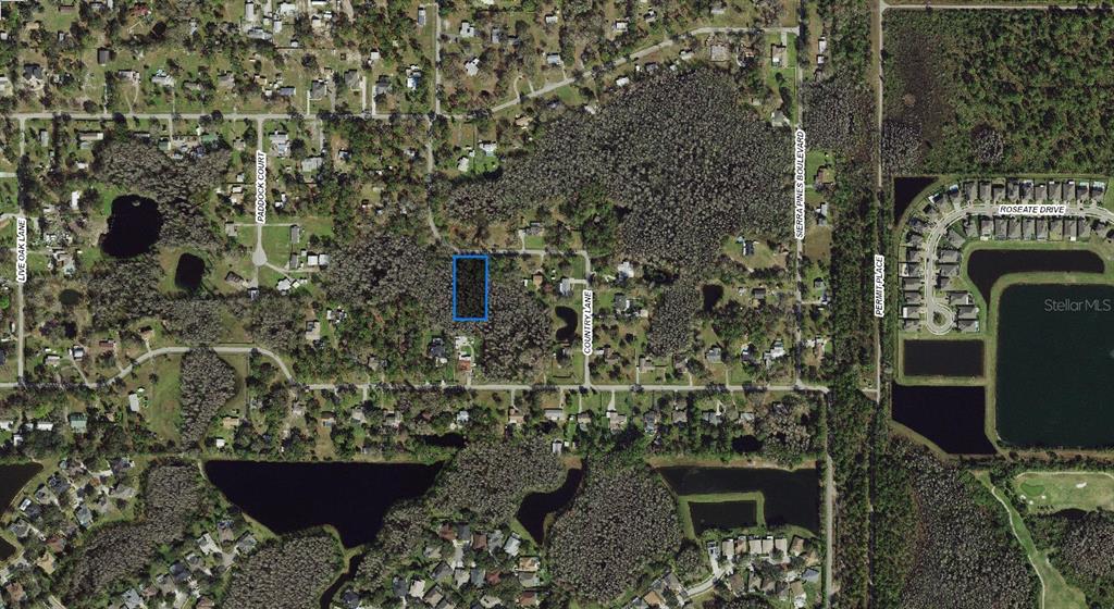 This is an aerial map view showing a rectangular plot of land highlighted in blue — 32-26-18-0010-00000-0560 COUNTRY LANE, LUTZ, FL