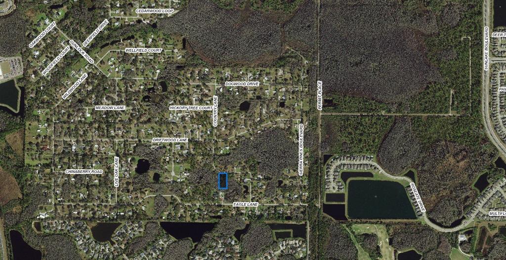 An aerial map shows a residential neighborhood with a highlighted rectangular plot of land — 32-26-18-0010-00000-0560 COUNTRY LANE, LUTZ, FL