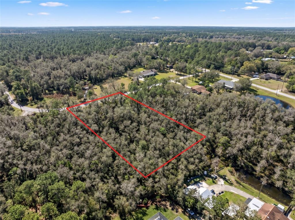 An aerial view shows a rectangular, wooded vacant lot outlined in red near a road — 32-26-18-0010-00000-0560 COUNTRY LANE, LUTZ, FL