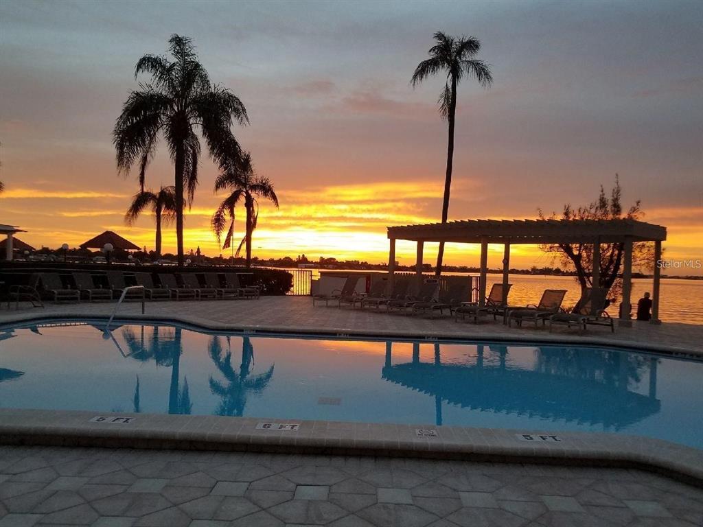 A large tree stands on a grassy shoreline overlooking a sunset over the water — 6210 SUN BOULEVARD UNIT 202, ST PETERSBURG, FL