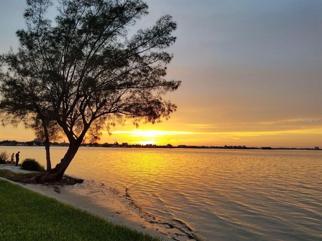 A view of a clear, shallow bay with a wooden post and driftwood in the foreground — 6210 SUN BOULEVARD UNIT 202, ST PETERSBURG, FL