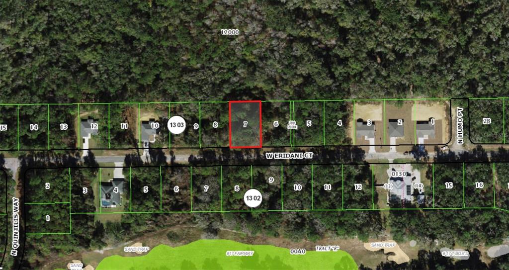 271 W ERIDANI COURT, CITRUS SPRINGS, FL — photo 2 of 3