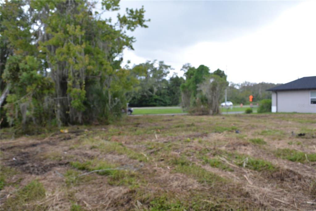 A grassy lawn leads toward a wooded area with trees draped in Spanish moss — 0 CHULUOTA ROAD, OVIEDO, FL
