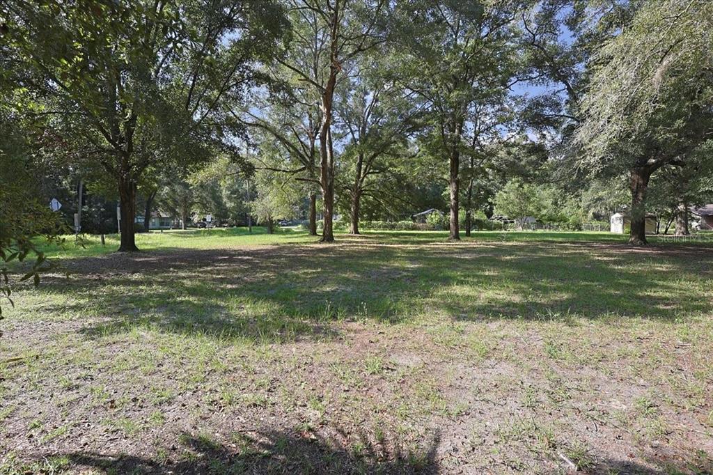 NW 194TH AVENUE, HIGH SPRINGS, FL — photo 3 of 6