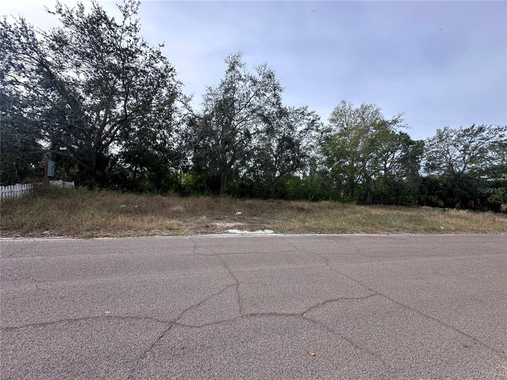 A vacant, grassy residential lot sits behind an asphalt road with trees in the background — 236 LOOKOUT DRIVE, APOLLO BEACH, FL