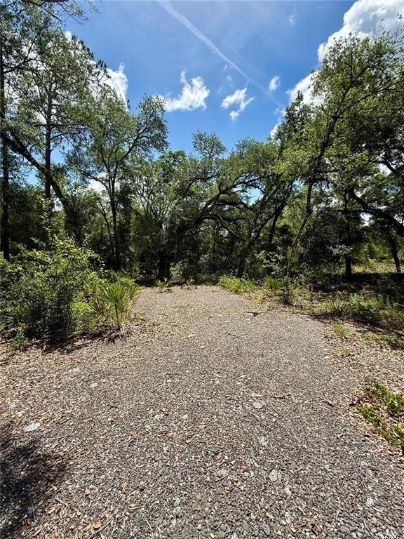 A gravel path leads into a wooded area with mature trees under a blue sky — Lot 10 LONG CIRCLE, WEBSTER, FL