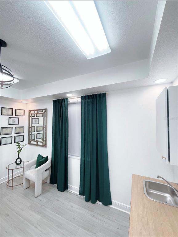 A room with light wood flooring, dark green curtains, a small armchair, and a sink — 27551 CASHFORD CIRCLE UNIT 101, WESLEY CHAPEL, FL
