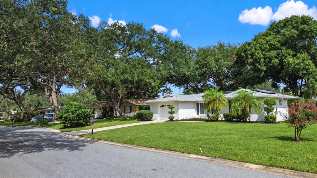 2040 FOREST DRIVE, CLEARWATER, FL — photo 4 of 24