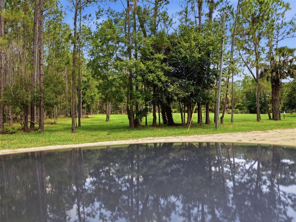 A grassy, sunlit lot is surrounded by mature trees under a blue sky — 2140 ST JOHNS RIVER ROAD, ASTOR, FL