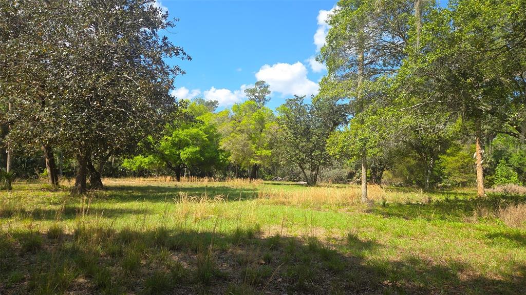 An aerial view shows a vast, dense forest landscape under a clear blue sky — 2140 ST JOHNS RIVER ROAD, ASTOR, FL