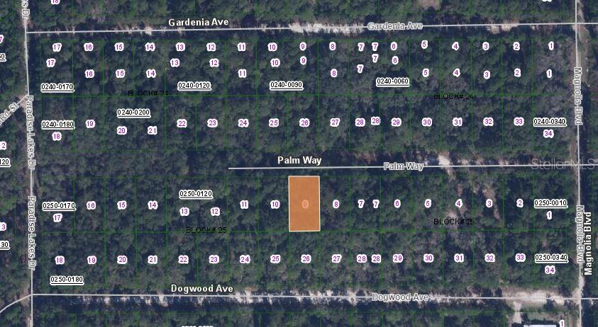 This is a map showing a highlighted rectangular land parcel within a residential subdivision — 117 PALM WAY, GEORGETOWN, FL
