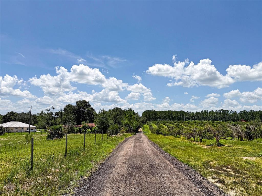 A gravel driveway leads through a rural landscape with a house and an orchard — 37647 JENNY LANE, EUSTIS, FL