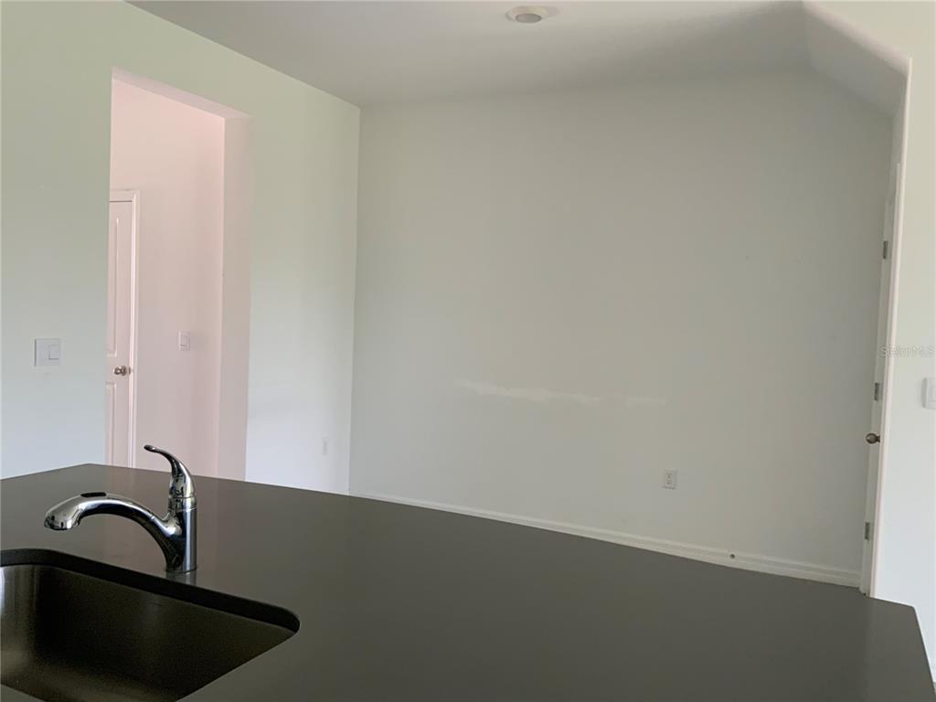 16621 GROTTO STEAM PLACE, WIMAUMA, FL — photo 4 of 22
