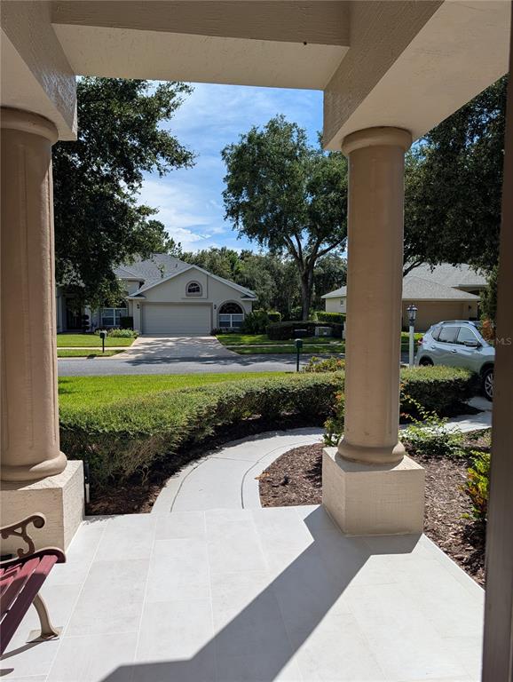 A grassy backyard features a central tree surrounded by dense foliage and trees — 1315 ELLI CIRCLE, ORMOND BEACH, FL