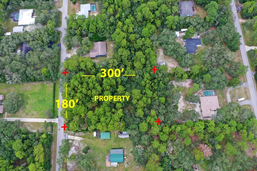 2659 S Bolton AVENUE, HOMOSASSA, FL — photo 3 of 10