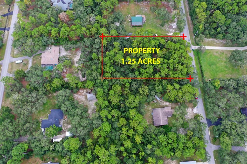 2659 S Bolton AVENUE, HOMOSASSA, FL — photo 5 of 10