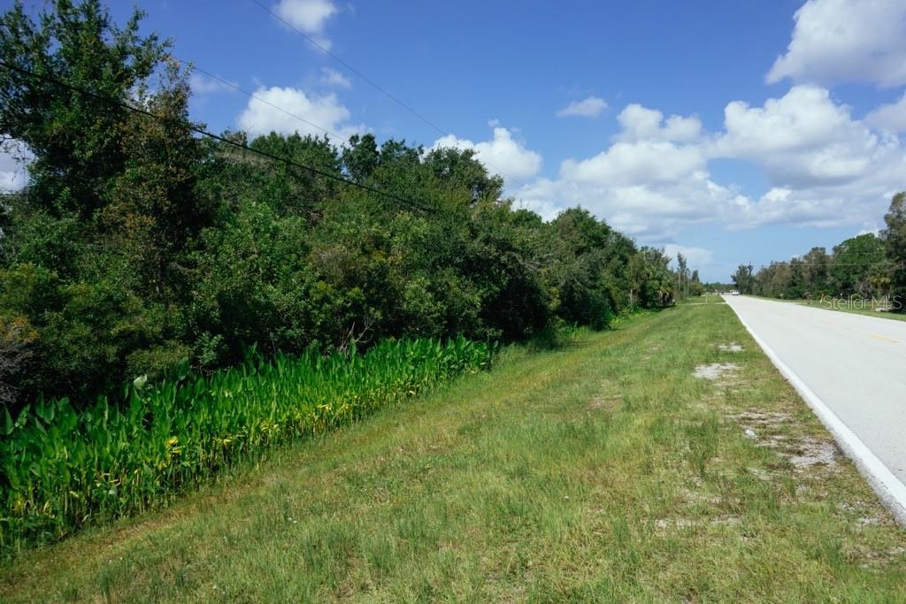 A paved road runs alongside a grassy shoulder and a line of dense trees — 30391 OIL WELL ROAD, PUNTA GORDA, FL