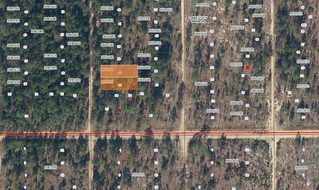 This is a map showing property lot lines and parcel numbers overlaid on a wooded area — Lot 37 PAXON, INTERLACHEN, FL