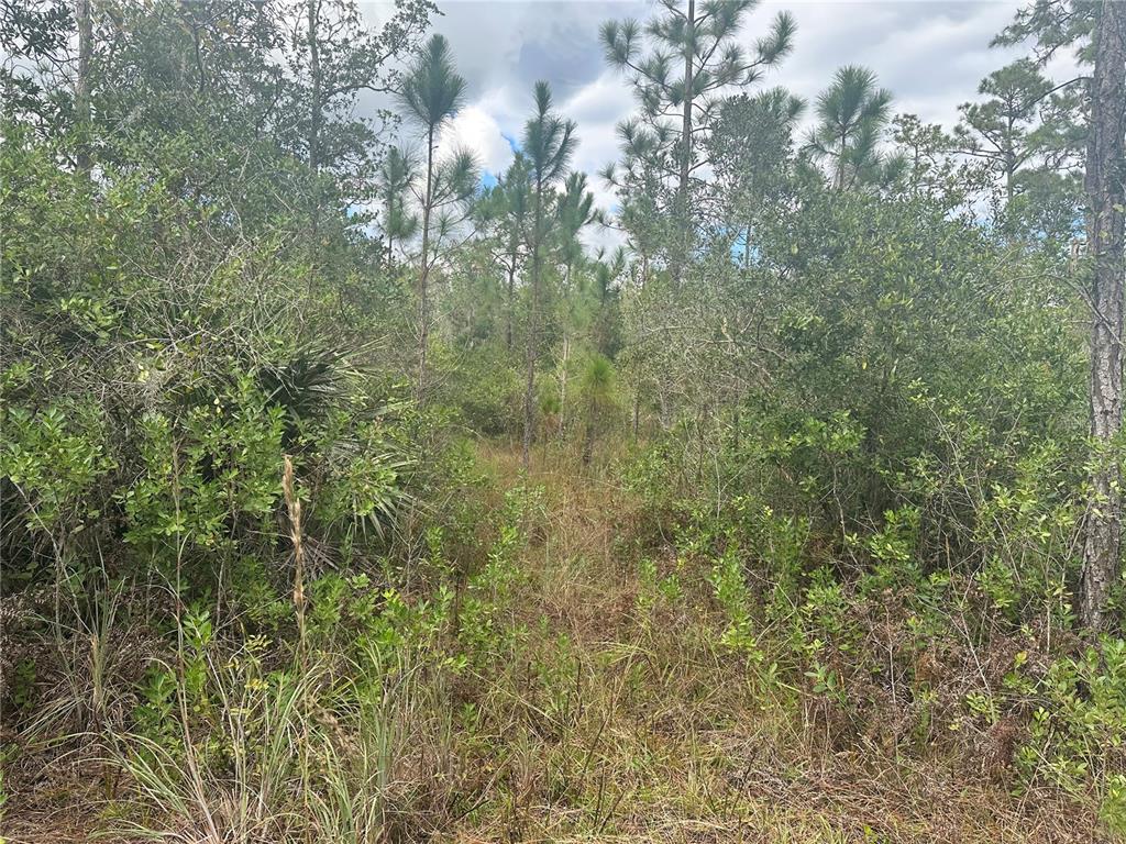 1106 GREENBRIAR DRIVE
