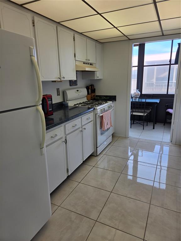 5969 TERRACE PARK DRIVE N UNIT 305, ST PETERSBURG, FL — photo 5 of 25