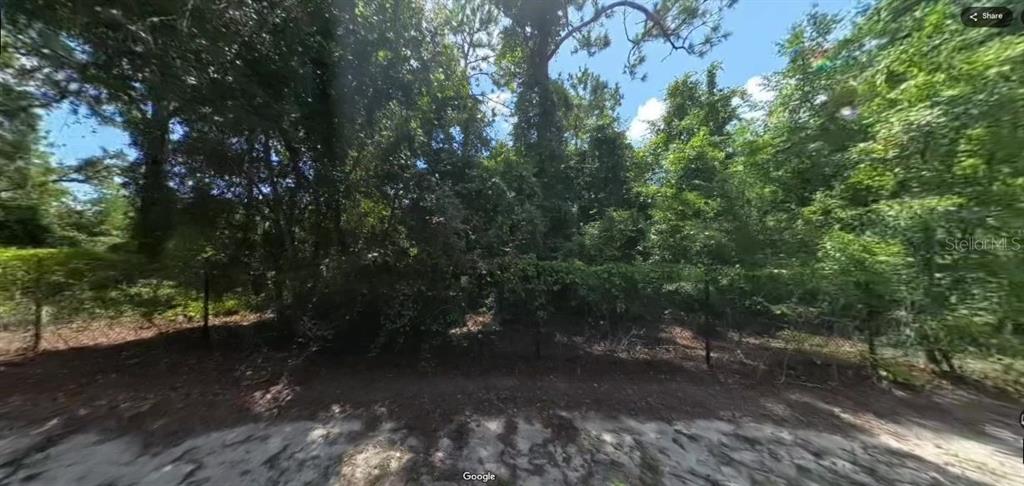 A view of a wooded, undeveloped lot enclosed by a chain-link fence — FORGE DRIVE, SPRING HILL, FL