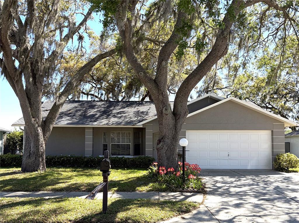 8648 GOLD PINE DRIVE
