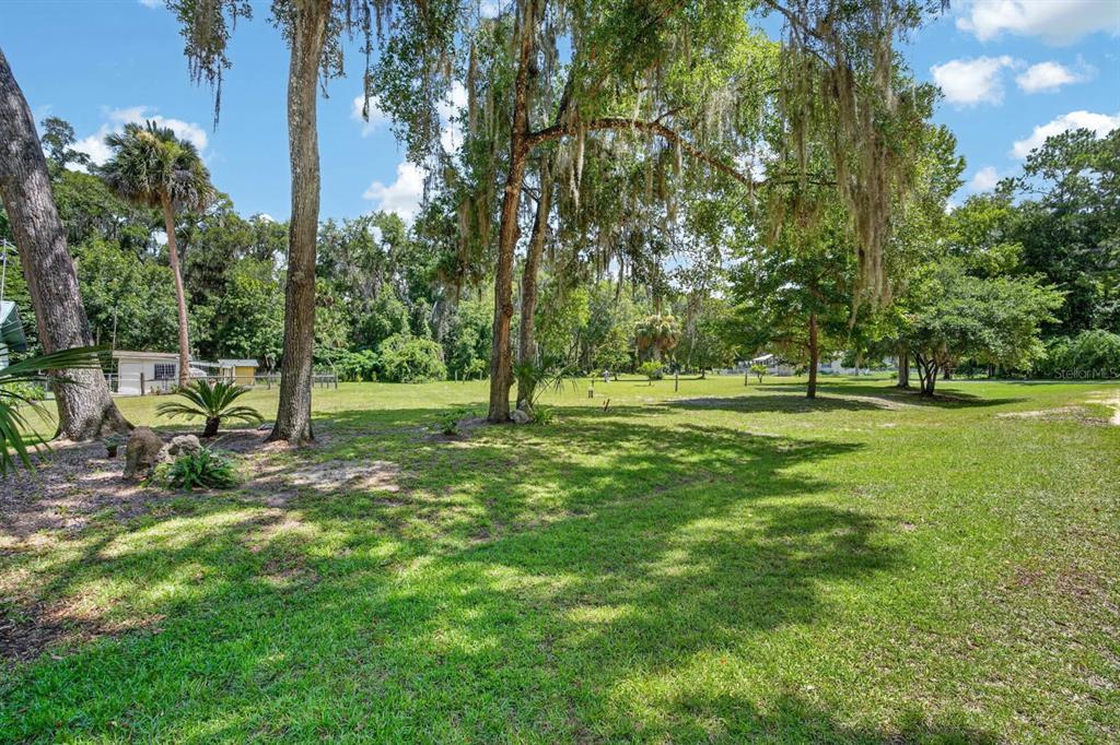 104 WOODCREST AVENUE, SATSUMA, FL — photo 5 of 30