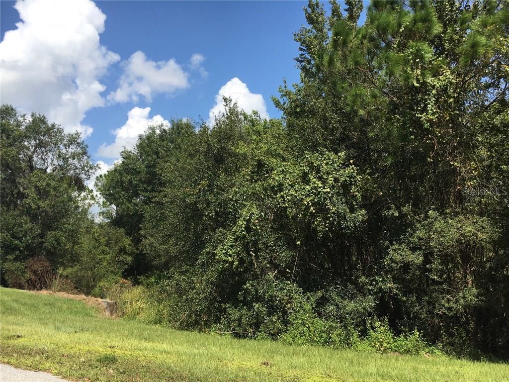 A grassy slope leads to a dense area of trees and vegetation under a blue sky — 41025 E 20TH PLACE, MYAKKA CITY, FL