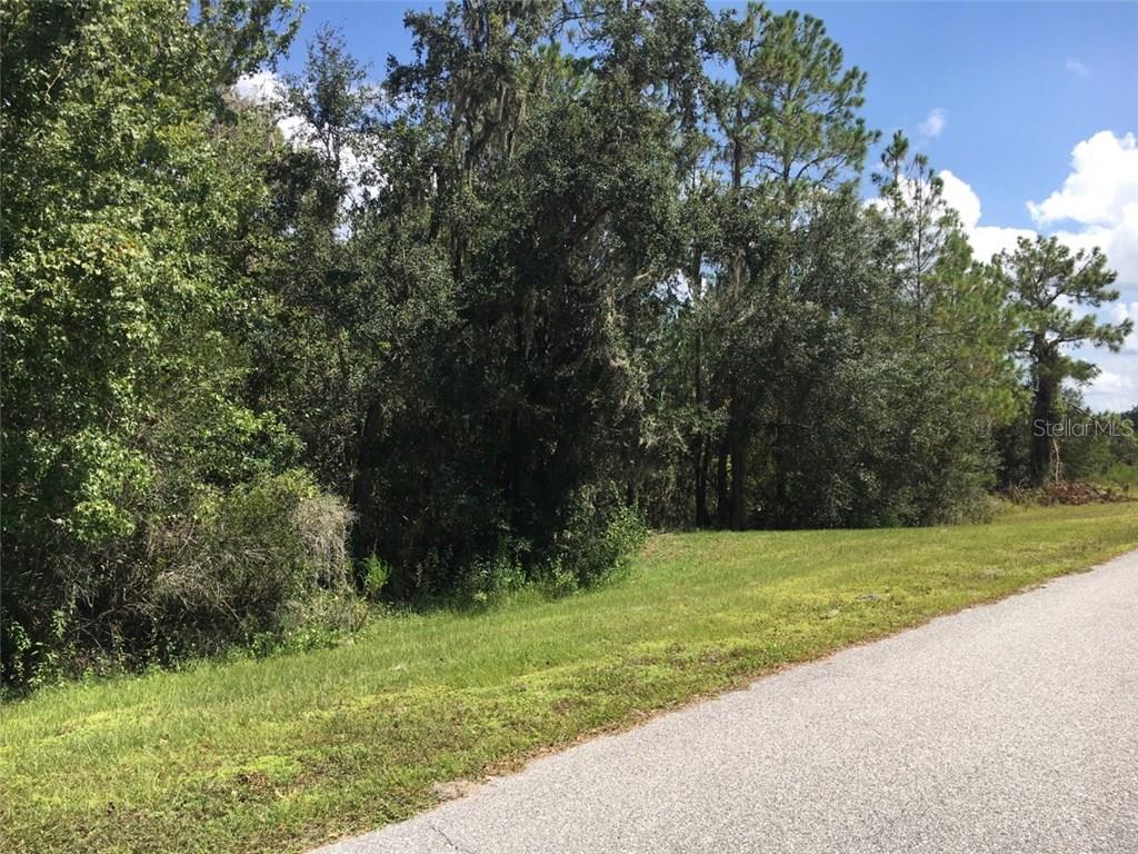 A paved road runs alongside a grassy area leading to a dense, wooded lot — 41025 E 20TH PLACE, MYAKKA CITY, FL