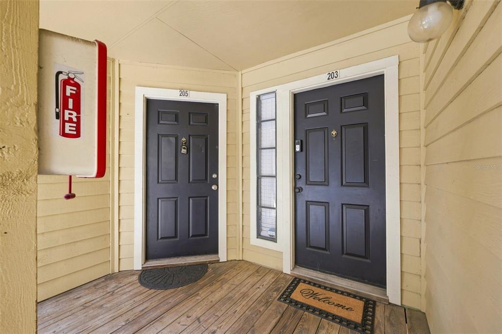 An exterior view of two dark doors labeled 203 and 205 with a fire extinguisher — 8630 MALLARD RESERVE DRIVE UNIT 203, TAMPA, FL