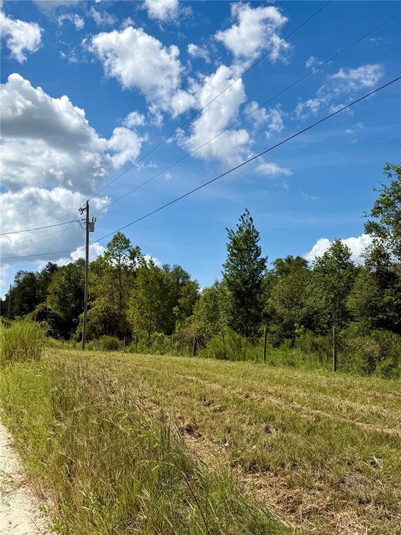 NW 96TH PL, BRANFORD, FL — photo 3 of 9