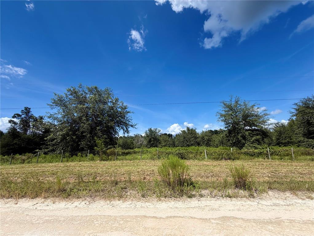 NW 96TH PL, BRANFORD, FL — photo 4 of 9