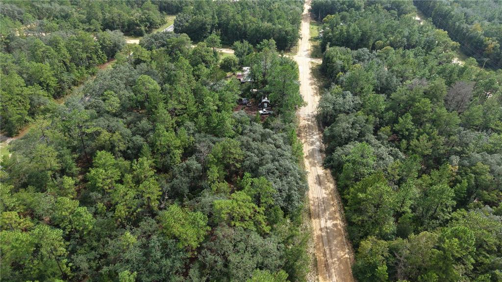 604 DEL MONACO AVE, INTERLACHEN, FL — photo 4 of 30