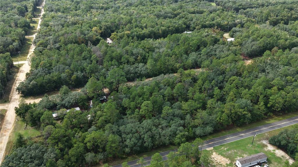 604 DEL MONACO AVE, INTERLACHEN, FL — photo 5 of 30
