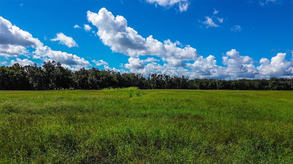 00 MILLER ROAD, DADE CITY, FL — photo 2 of 12