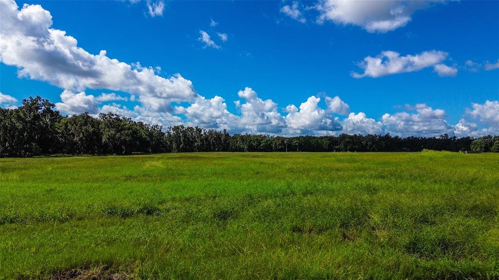 00 MILLER ROAD, DADE CITY, FL — photo 3 of 12
