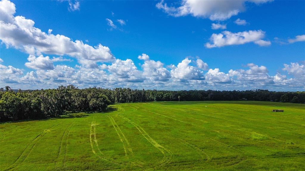 00 MILLER ROAD, DADE CITY, FL — photo 4 of 12